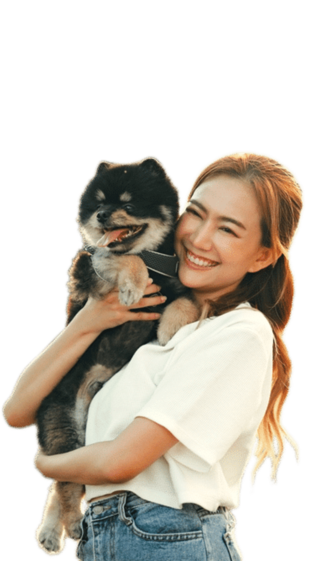 Grooming anjing panggilan terdekat fauna fella.png